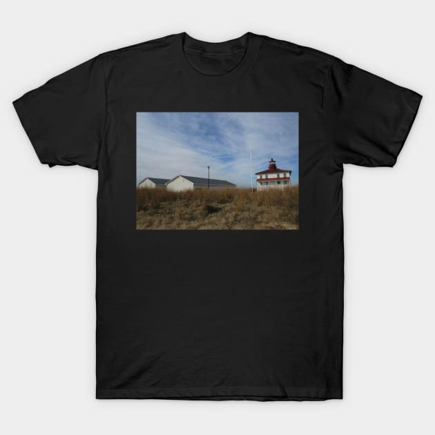 Point Lookout Light House and Sheds 002 T-Shirt by ToniaDelozier